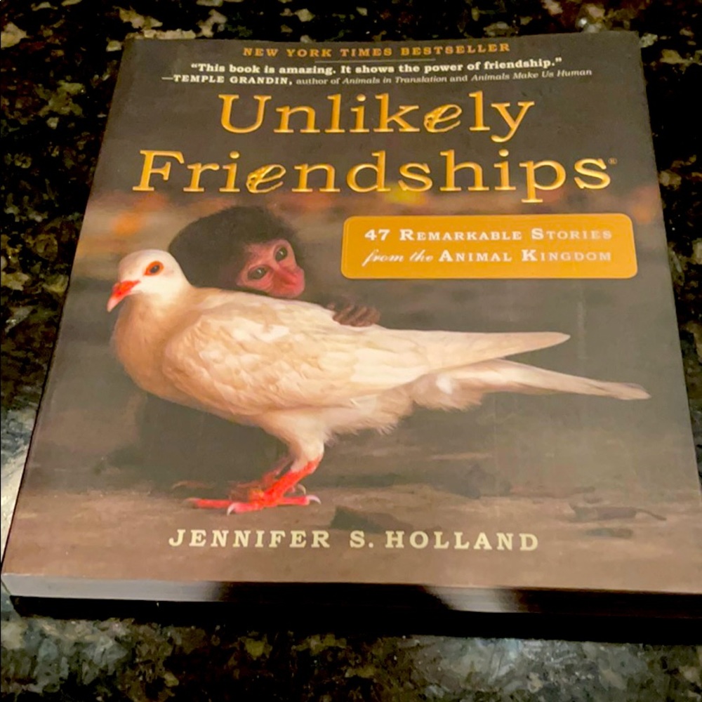 Unlikely Friendships Book